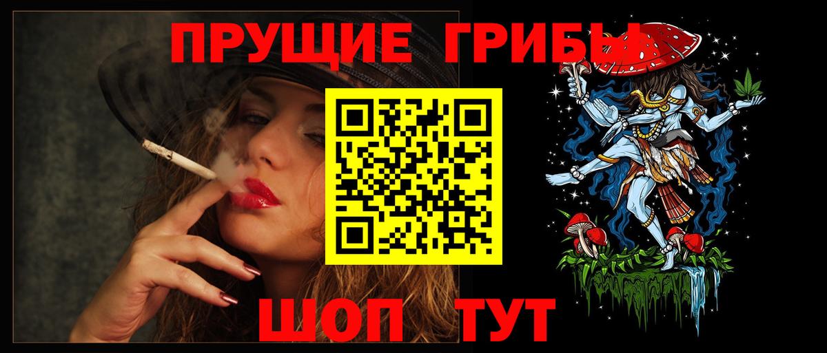 Псилоцибиновые грибы мицелий Жуковский